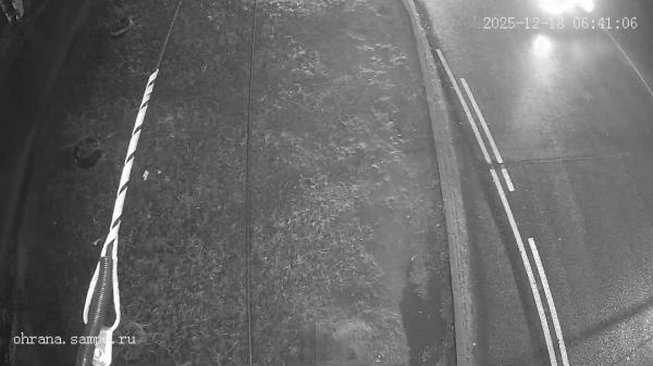 ул. Репникова (Пешеходный переход)