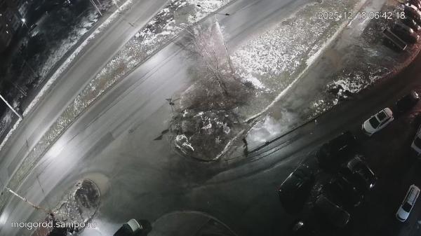 ш. Лососинское – ул. Попова