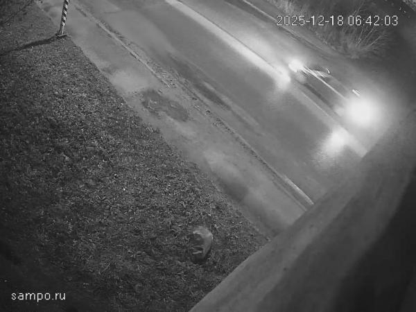 Пешеходный переход в районе ул. Ригачина д. 30